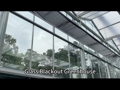 Serra automatizzata di vetro per funghi!