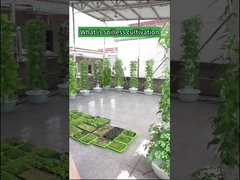 Torri di coltivazione idroponica a petalo per agricoltura indoor da giardino