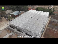 Casa di vetro agricola commerciale Venlo Serra a ventilazione superiore multi-span