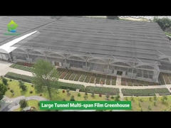 Progetto commerciale di serre a pellicola di grandi dimensioni