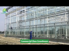 Progetto AX serra - serra commerciale in vetro