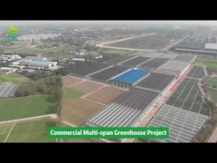 Serra per la coltivazione di ortaggi agricoli a più campate in tunnel di film plastico