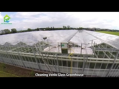 Pulizia della serra di vetro Venlo