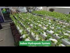 Sistema di tubi quadrati NFT idroponico per coltivazione fuori suolo per agricoltura verticale