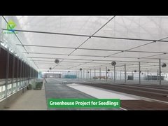 Progetto di serra Poly Tunnel per piantine