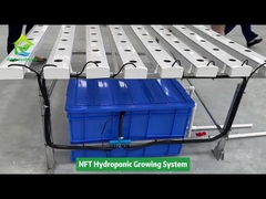 Sistema di tubi quadrati NFT idroponico per coltivazione fuori suolo per agricoltura verticale