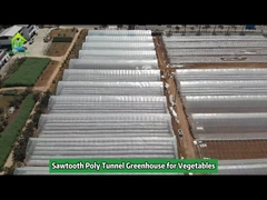 Serra a dente di sega tropicale in film plastico a campata singola