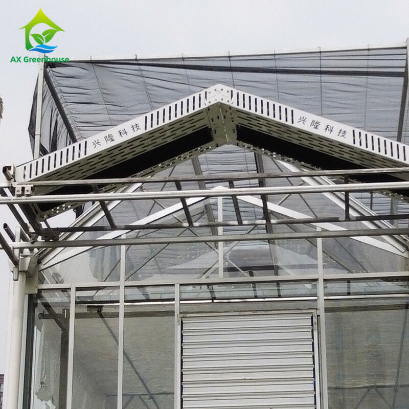 9.6m/10.8m/12m Larghezza Cornice in lega di alluminio Vetro agricolo Venlo Serra multi-span Con triangolo taglio stampaggio