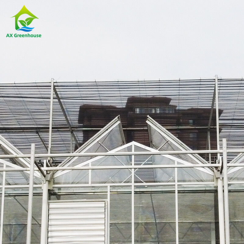 9.6m/10.8m/12m Larghezza Cornice in lega di alluminio Vetro agricolo Venlo Serra multi-span Con triangolo taglio stampaggio