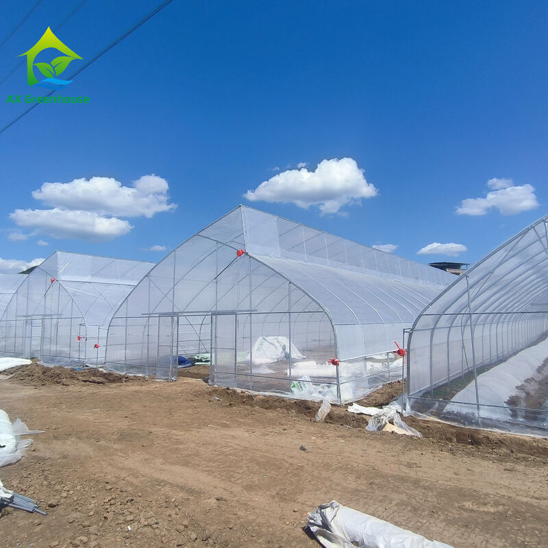 Prezzo di fabbrica Tuneo di pellicola di plastica su misura Tenda di coltivazione di pomodori Serra per l'agricoltura