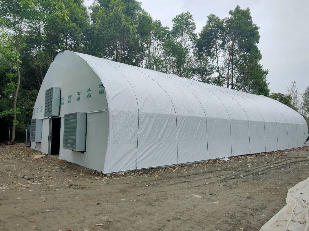 Prezzo di fabbrica Tuneo di pellicola di plastica su misura Tenda di coltivazione di pomodori Serra per l'agricoltura