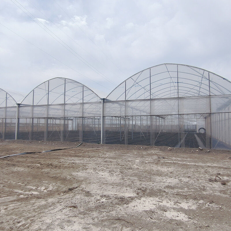 Struttura in acciaio galvanizzato a caldo con pellicola di plastica multi-span