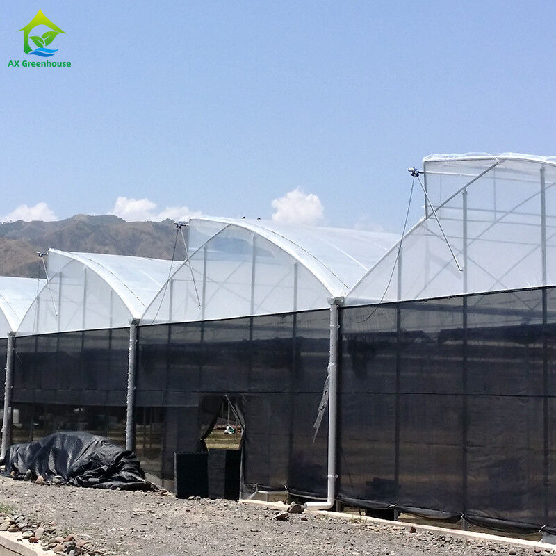 Struttura in acciaio Agricoltura Poli-Tunnel Ombra nera Serra multi-span con sistema di raffreddamento opzionale