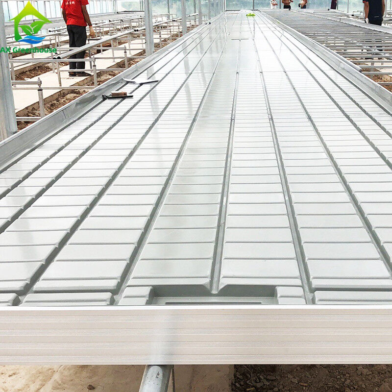 Ebb Flow Custom Double Layers Flood Grow Table Seedbed Rolling Bench Mobile e adatto per i fiori