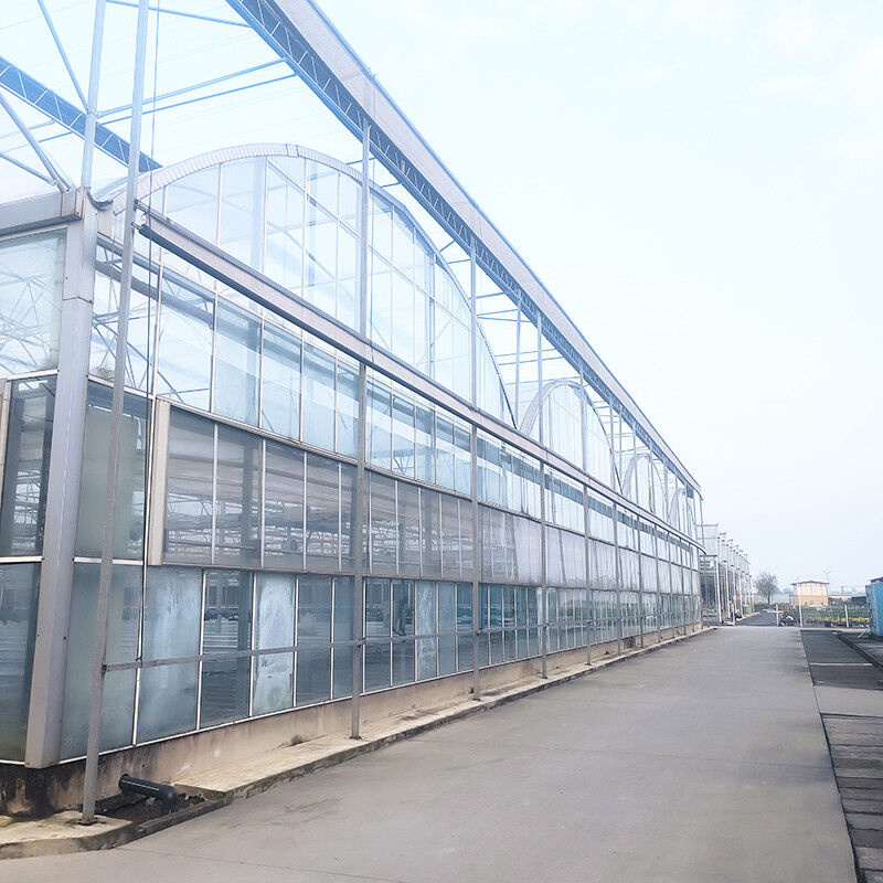 Modellazione triangolare del tetto commerciale multi-span grande galleria di vetro casa di fiori in crescita serra gotica