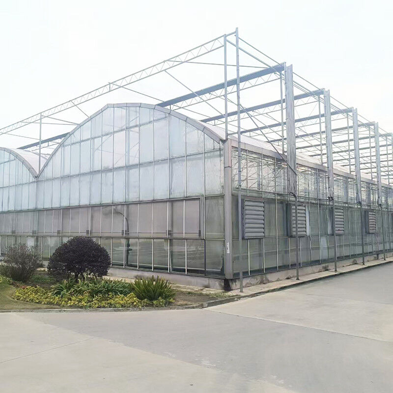 Casa di vetro temperato di lusso industriale agricolo Venlo Serra erbacea con struttura stabile e sistema di riscaldamento