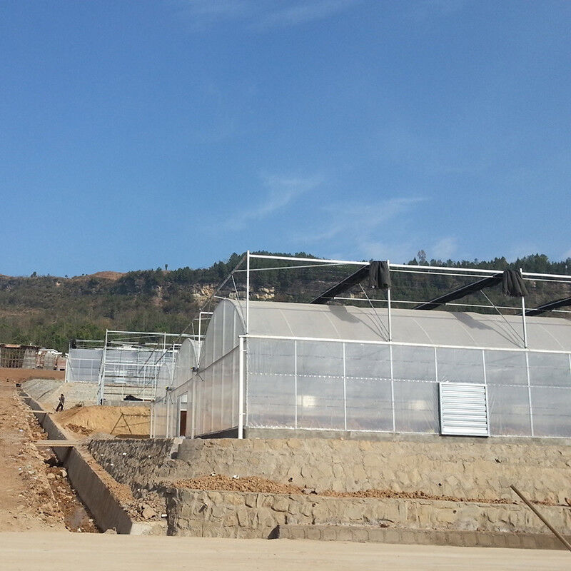 Serra Tunnel in Polietilene Affidabile con Struttura in Acciaio Antiruggine, Film Duraturo per Pomodori