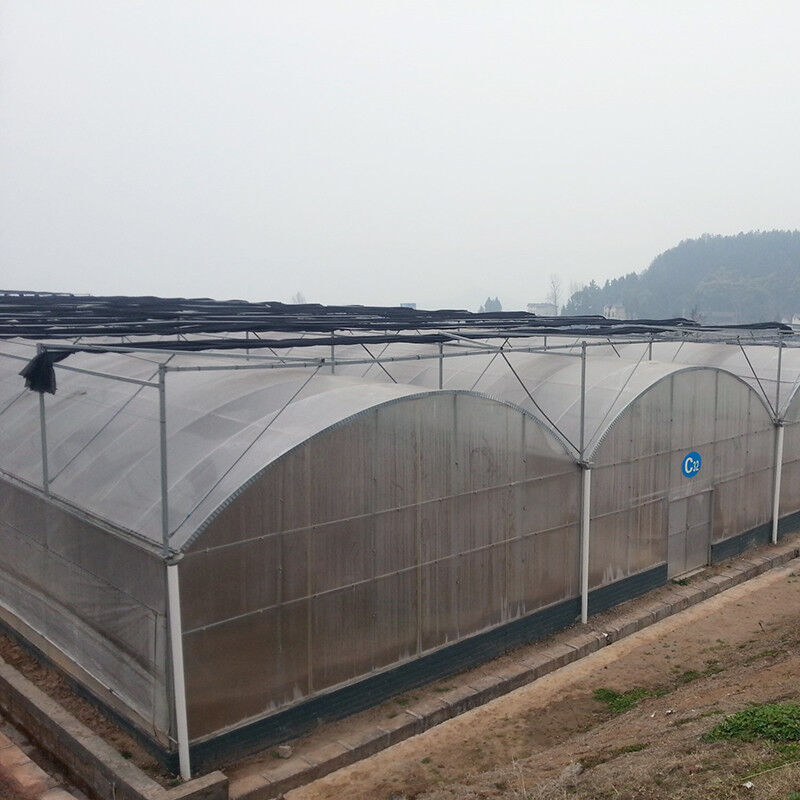 Serra Tunnel in Polietilene Affidabile con Struttura in Acciaio Antiruggine, Film Duraturo per Pomodori