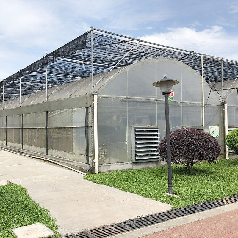 Struttura stabile Film di plastica industriale PE Multi-span Casa di fiori agricola Poli Tunnel Serra