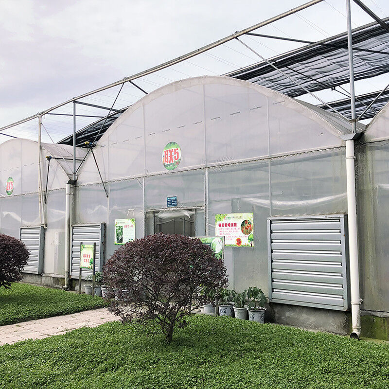 Struttura stabile Film di plastica industriale PE Multi-span Casa di fiori agricola Poli Tunnel Serra