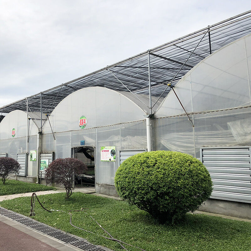 Struttura stabile Film di plastica industriale PE Multi-span Casa di fiori agricola Poli Tunnel Serra