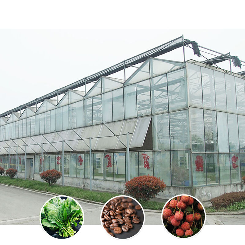 Agricoltura intelligente Vetro temperato agricolo Vetro temperato vetro temperato vetro temperato vetro temperato vetro temperato vetro temperato vetro temperato