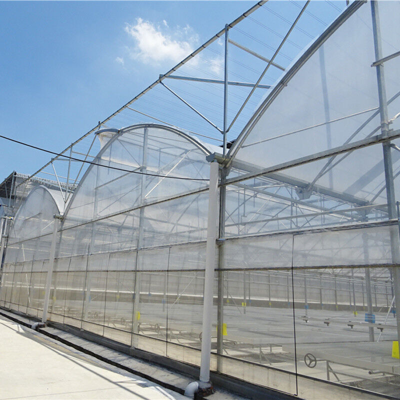 Poli-Tunnel Multi-Span Film per la produzione di fiori