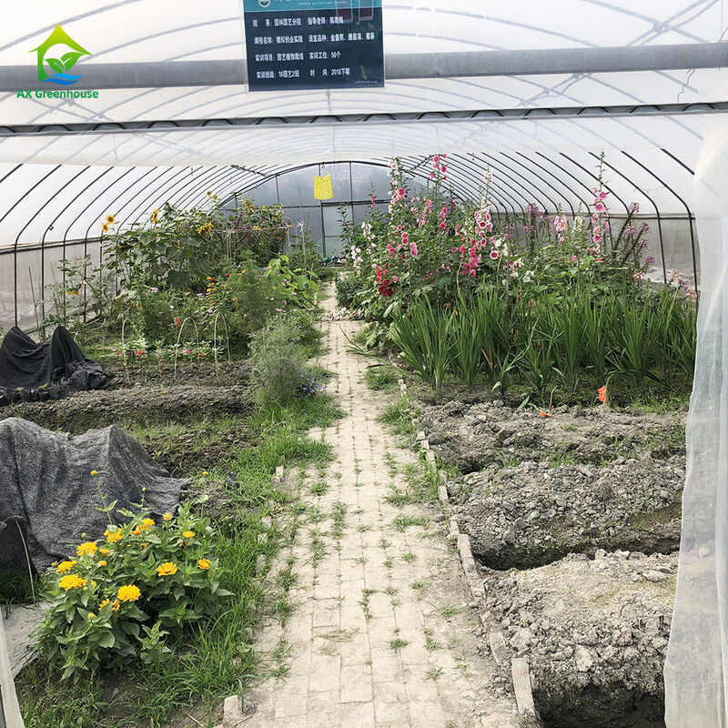 Prezzo di fabbrica Tuneo di pellicola di plastica su misura Tenda di coltivazione di pomodori Serra per l'agricoltura
