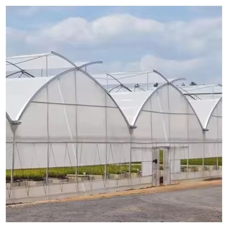 Poli-Tunnel Multi-Span Film per la produzione di fiori