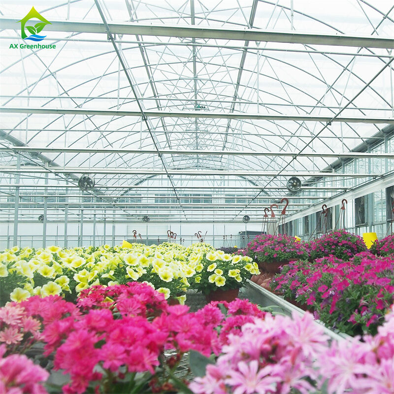 Serre in vetro temperato intelligente, trasparenti, verdi, grandi, multi-campata, serre agricole in tubo d'acciaio zincato a caldo per la coltivazione di piante e fiori