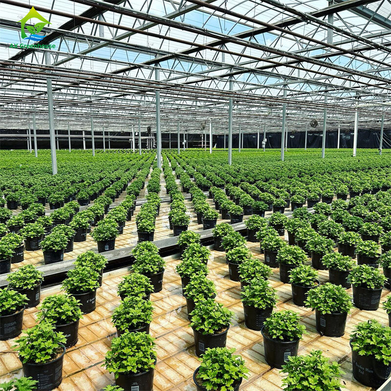 Serre in vetro temperato intelligente, trasparenti, verdi, grandi, multi-campata, serre agricole in tubo d'acciaio zincato a caldo per la coltivazione di piante e fiori