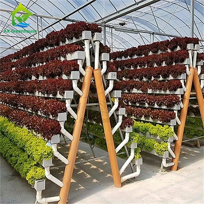 Sistema di coltivazione fuori suolo in serra a telaio A, tecnica del film nutritivo (NFT), canale per la coltivazione efficiente di ortaggi