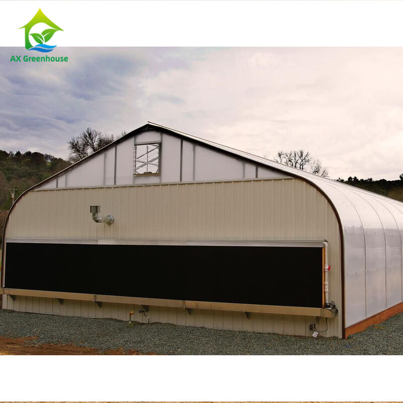 sistema di controllo di clima di Dep Grow Tunnel Greenhouse With della luce di altezza della parete di 1,8-3M