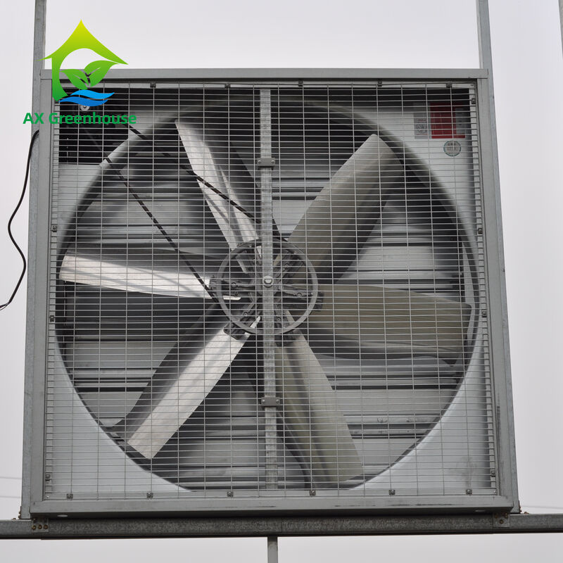 Ventilatori di scarico per serre in alluminio di grado industriale resistenti alla corrosione per raffreddamento evaporativo umido
