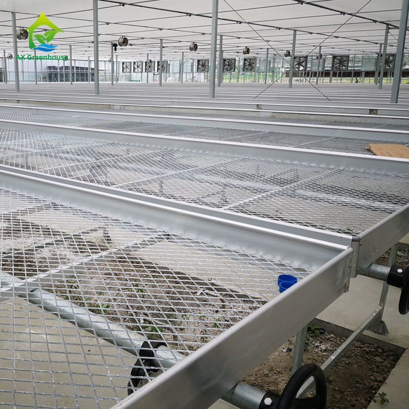 Agricoltura Commerciale Indoor Mesh Wire Greenhouse Grow Table Rolling Bench Per semina