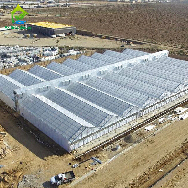 Serra automatizzata di privazione di luce commerciale con blackout interno 32m-50m lunghezza e 8m-12.6m larghezza di span